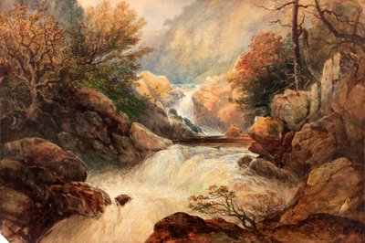 Die Wasserfälle von Lochy von Thomas Miles Richardson